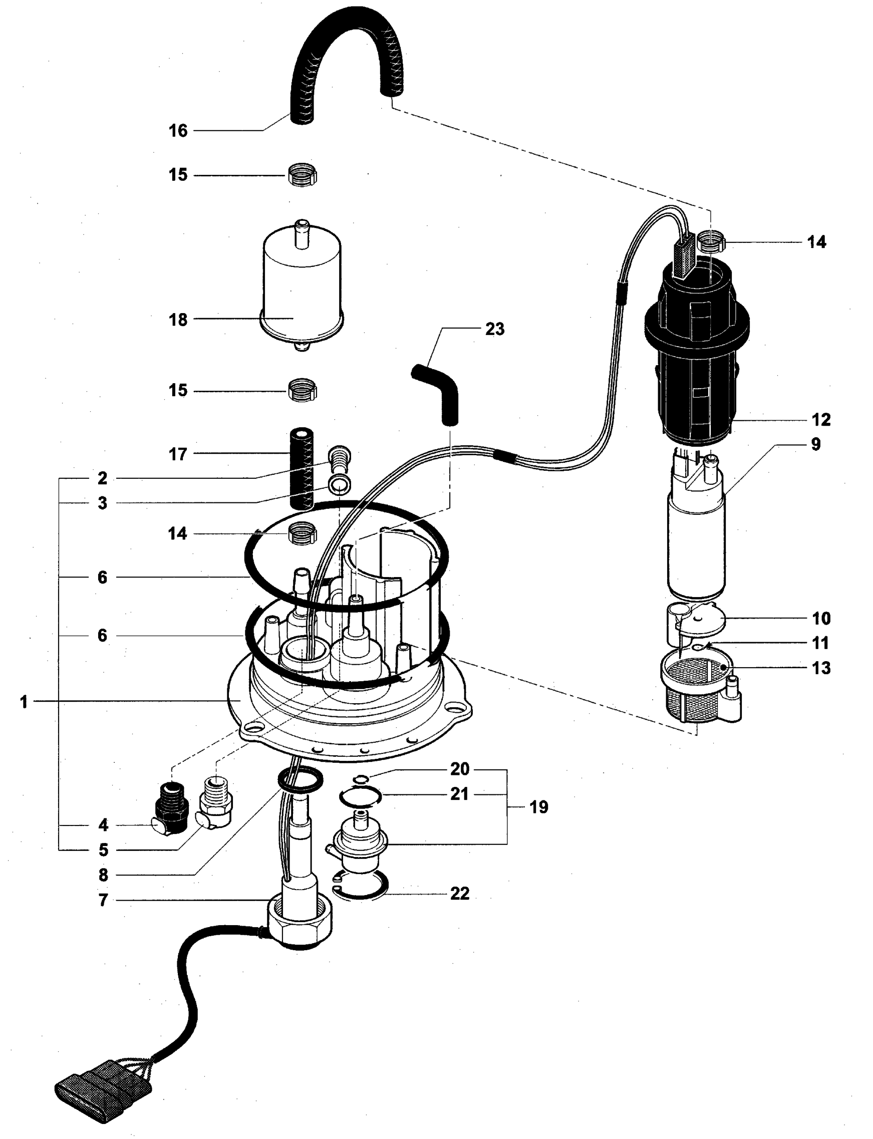 Fuel Pump Assembly


