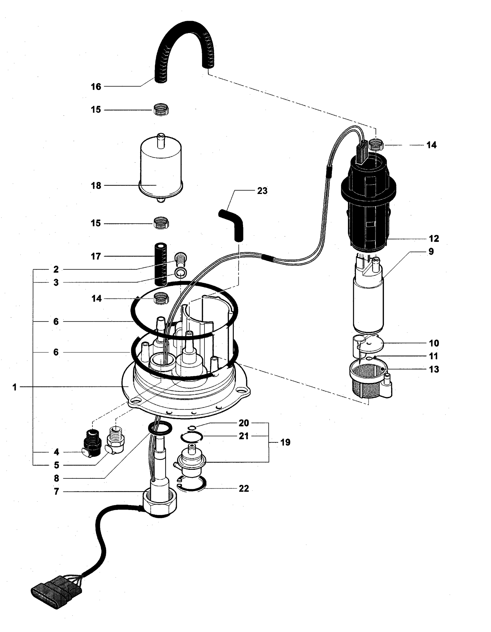 Fuel Pump Assembly


