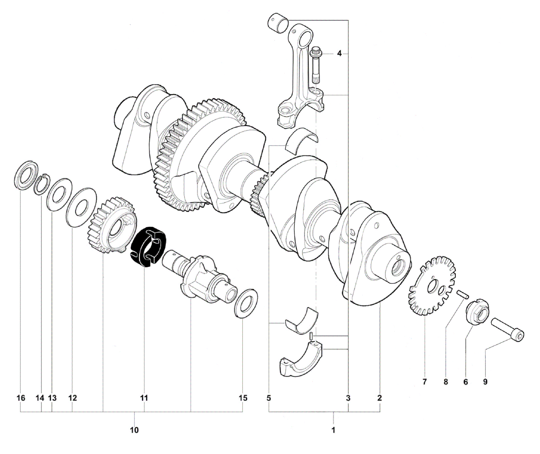 Crankshaft Assembly


