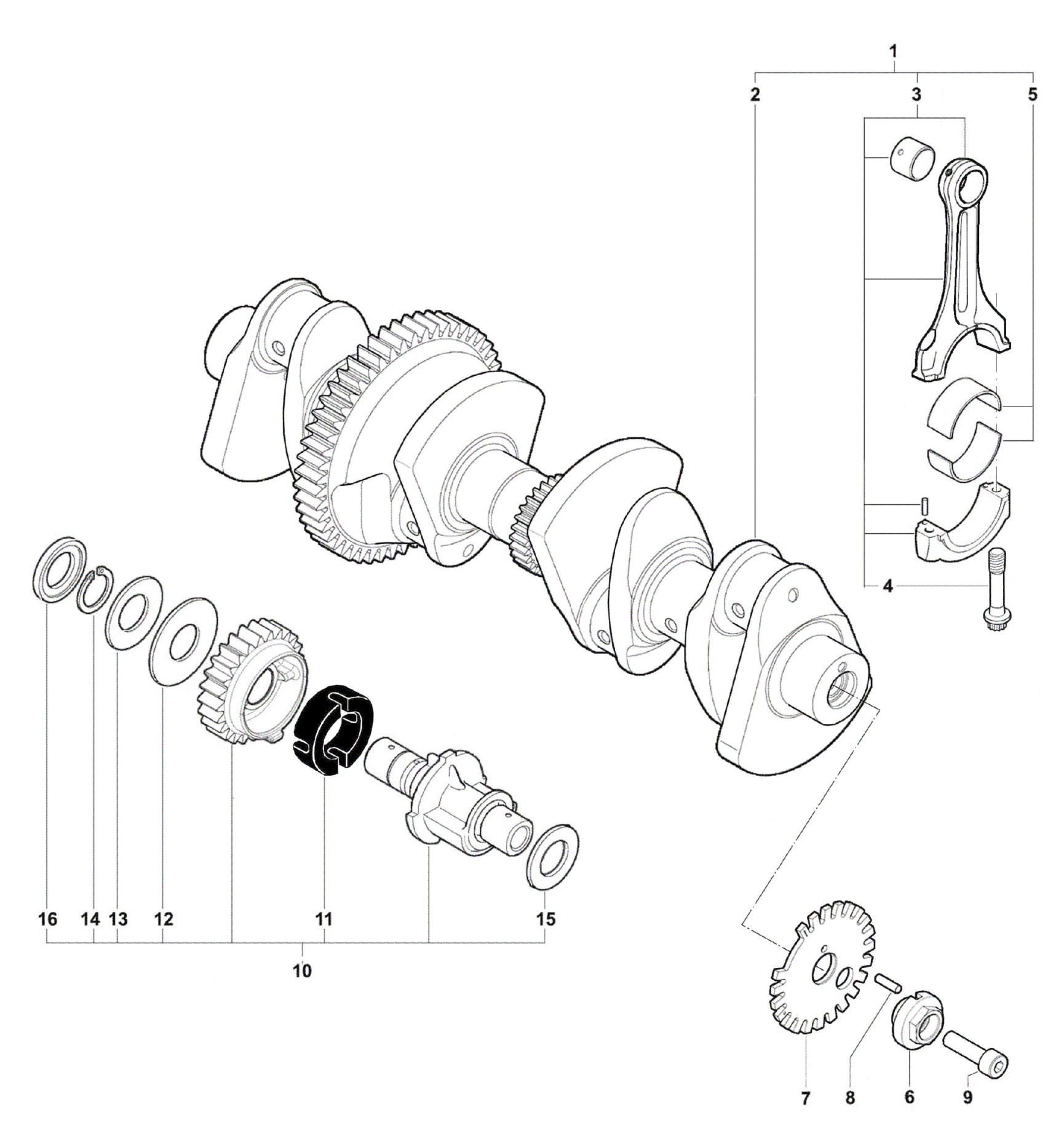 Crankshaft Assembly


