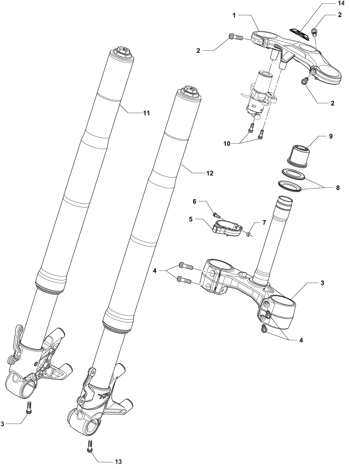 Front Suspension Assembly


