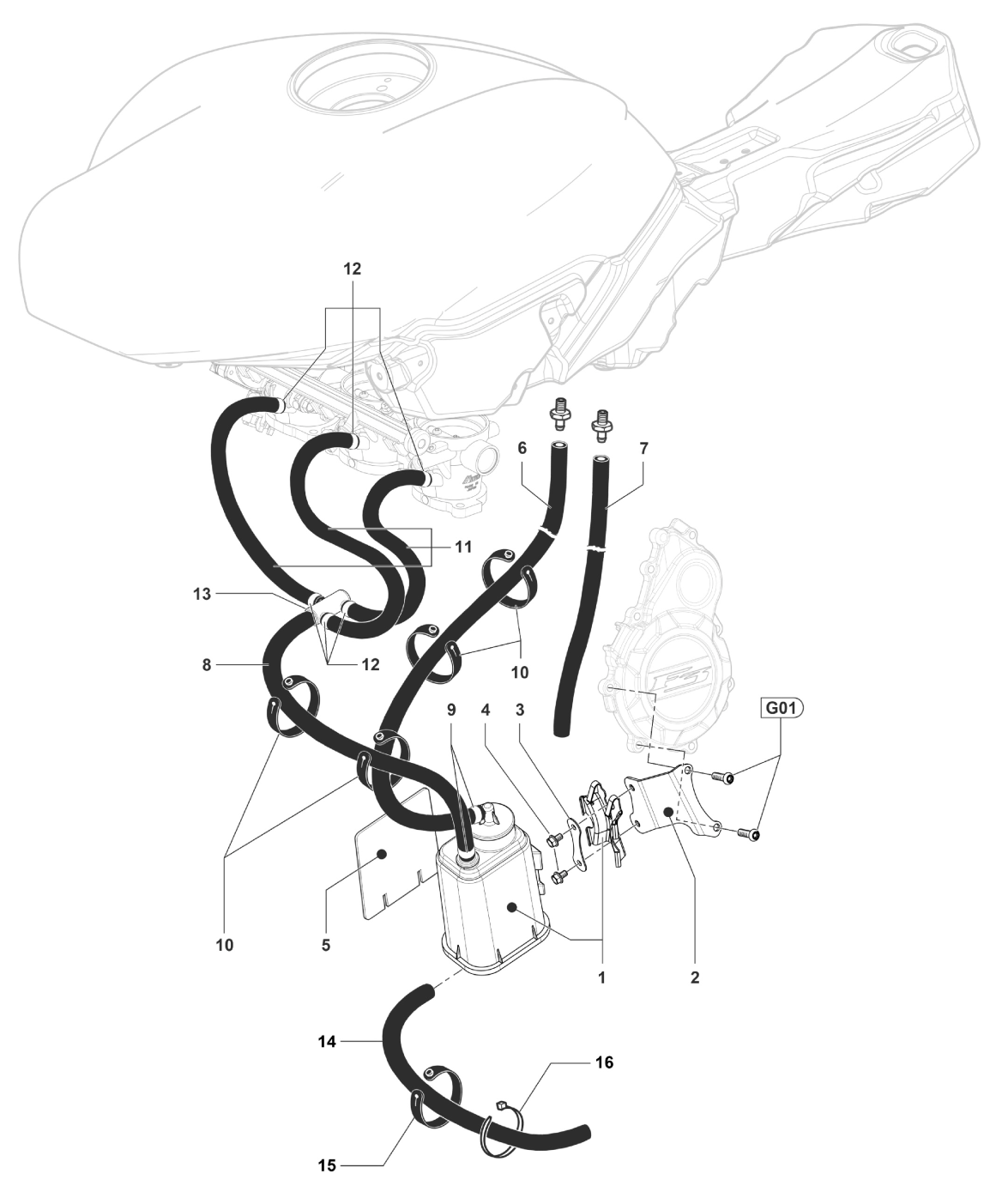 Carbon Canister Assembly


