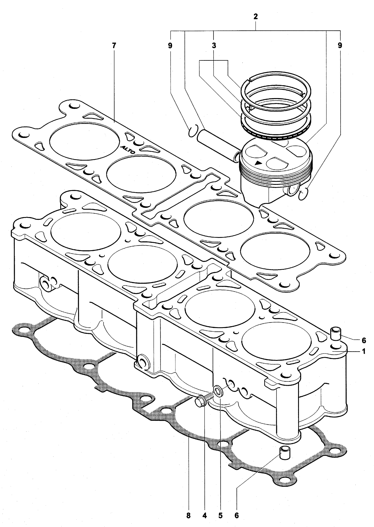 Cylinder  Piston Assembly


