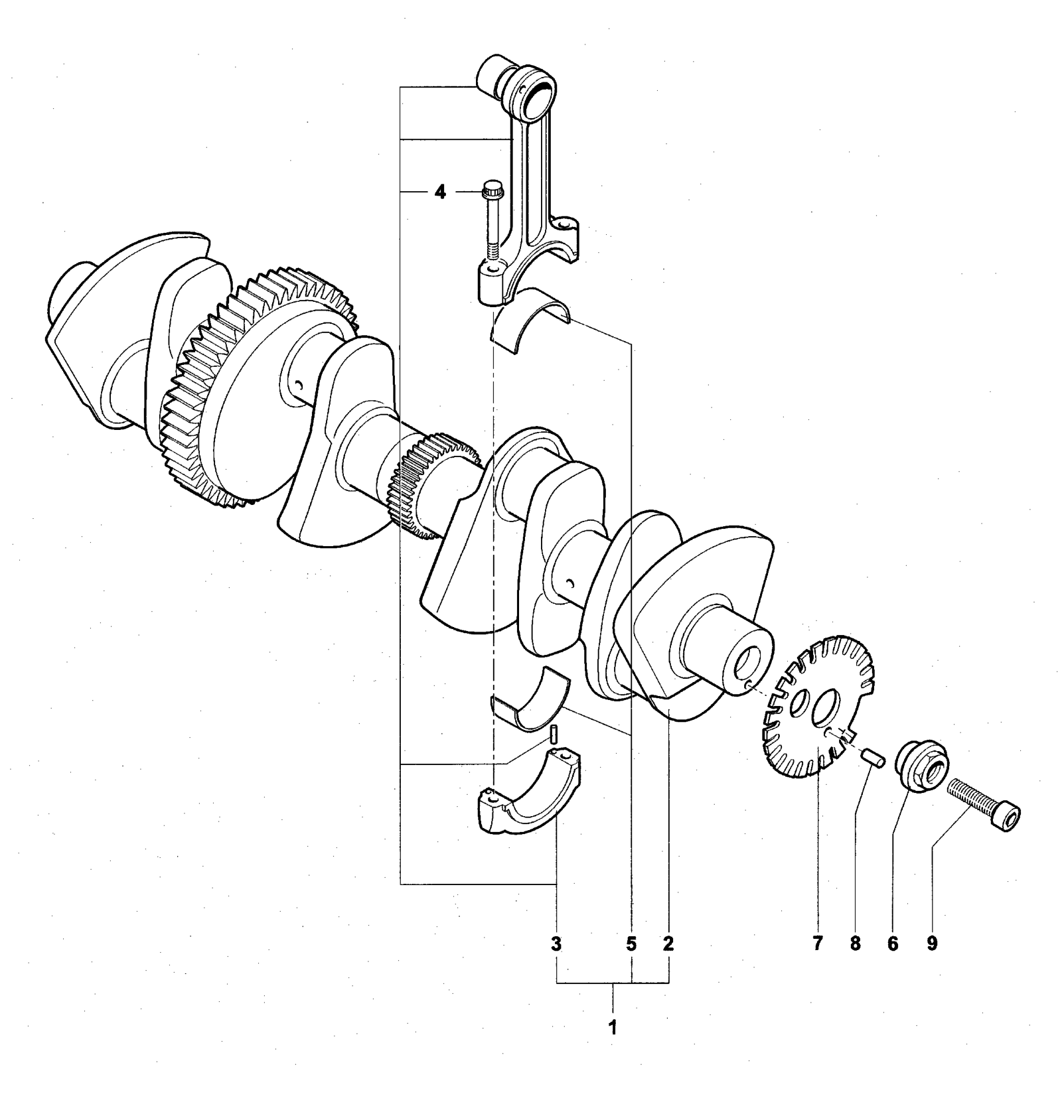 Crankshaft Assembly


