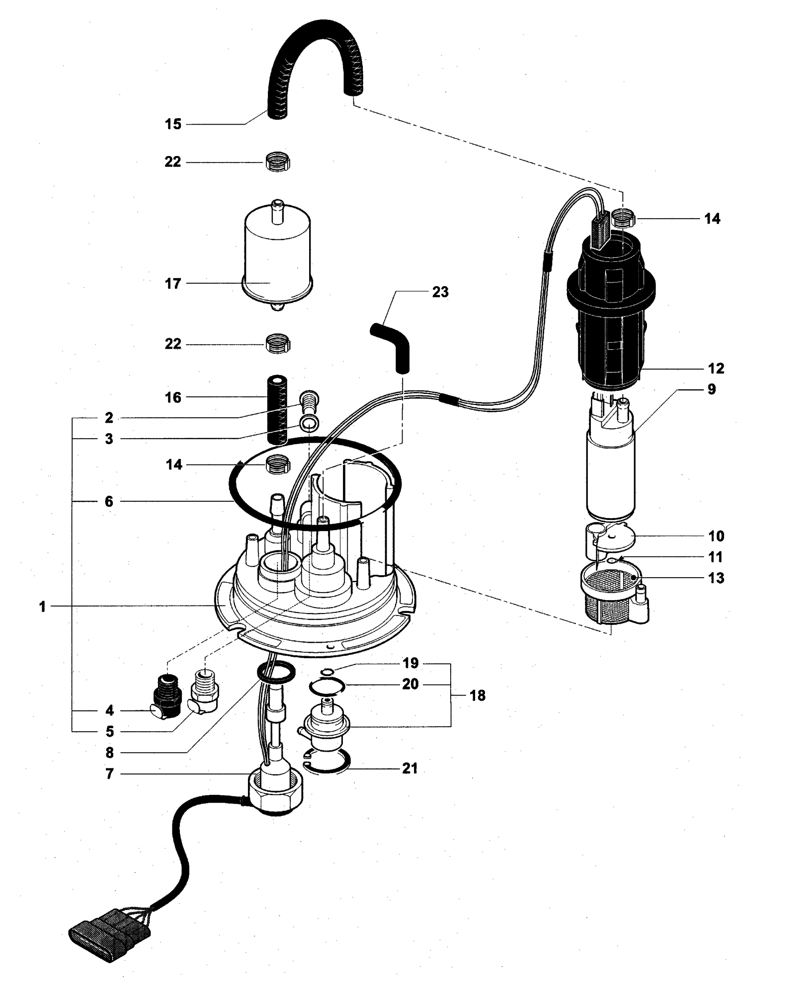 Fuel Pump Assembly


