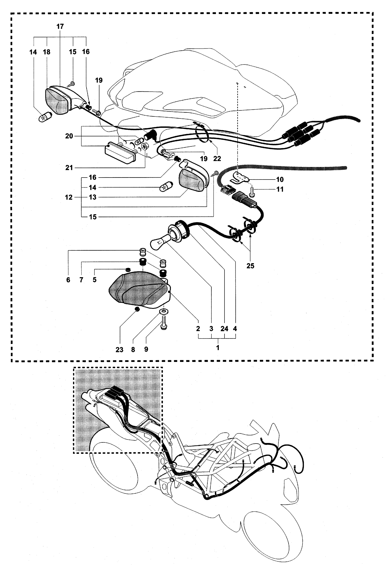 Taillight - Indicators


