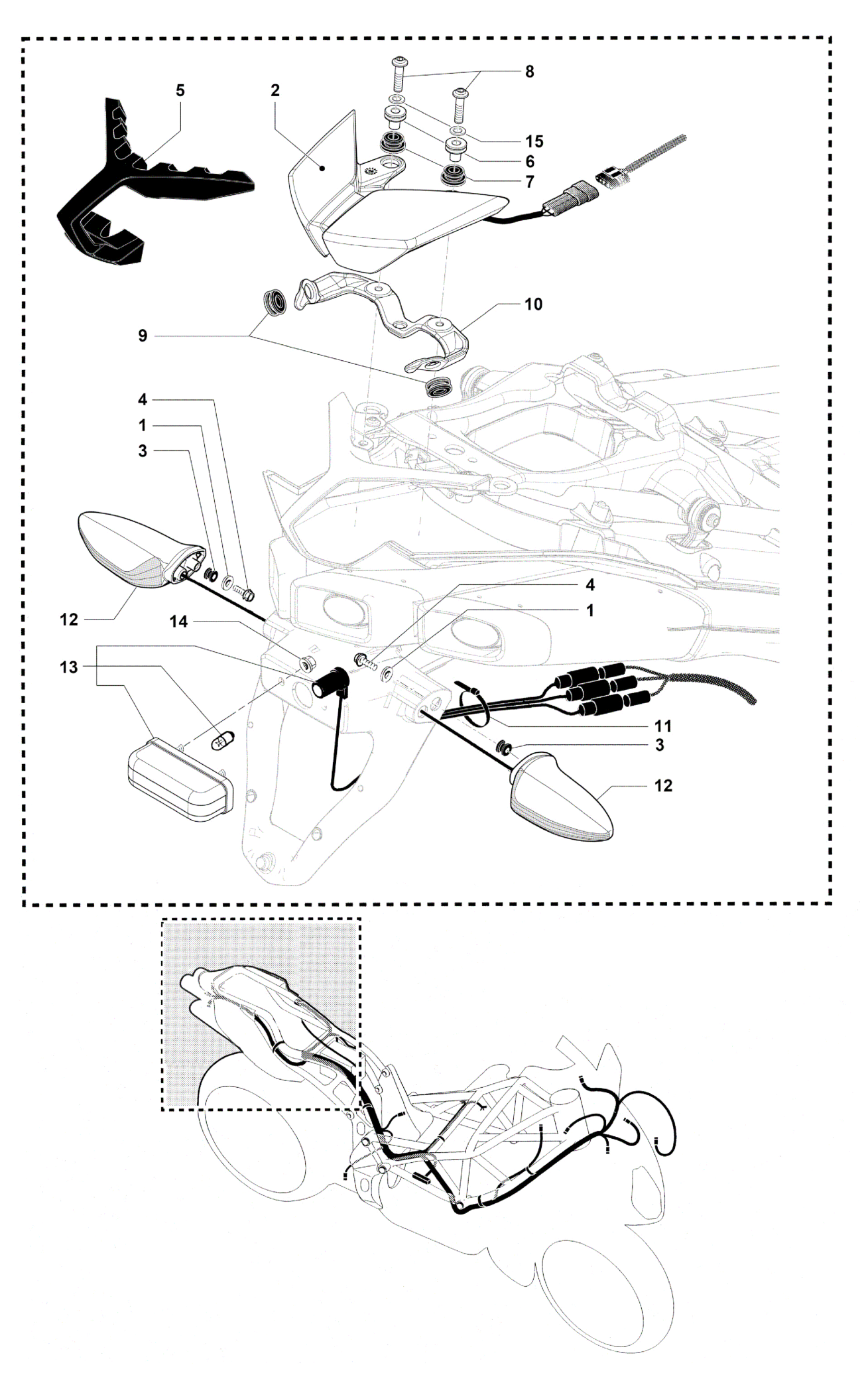 Taillight - Indicators


