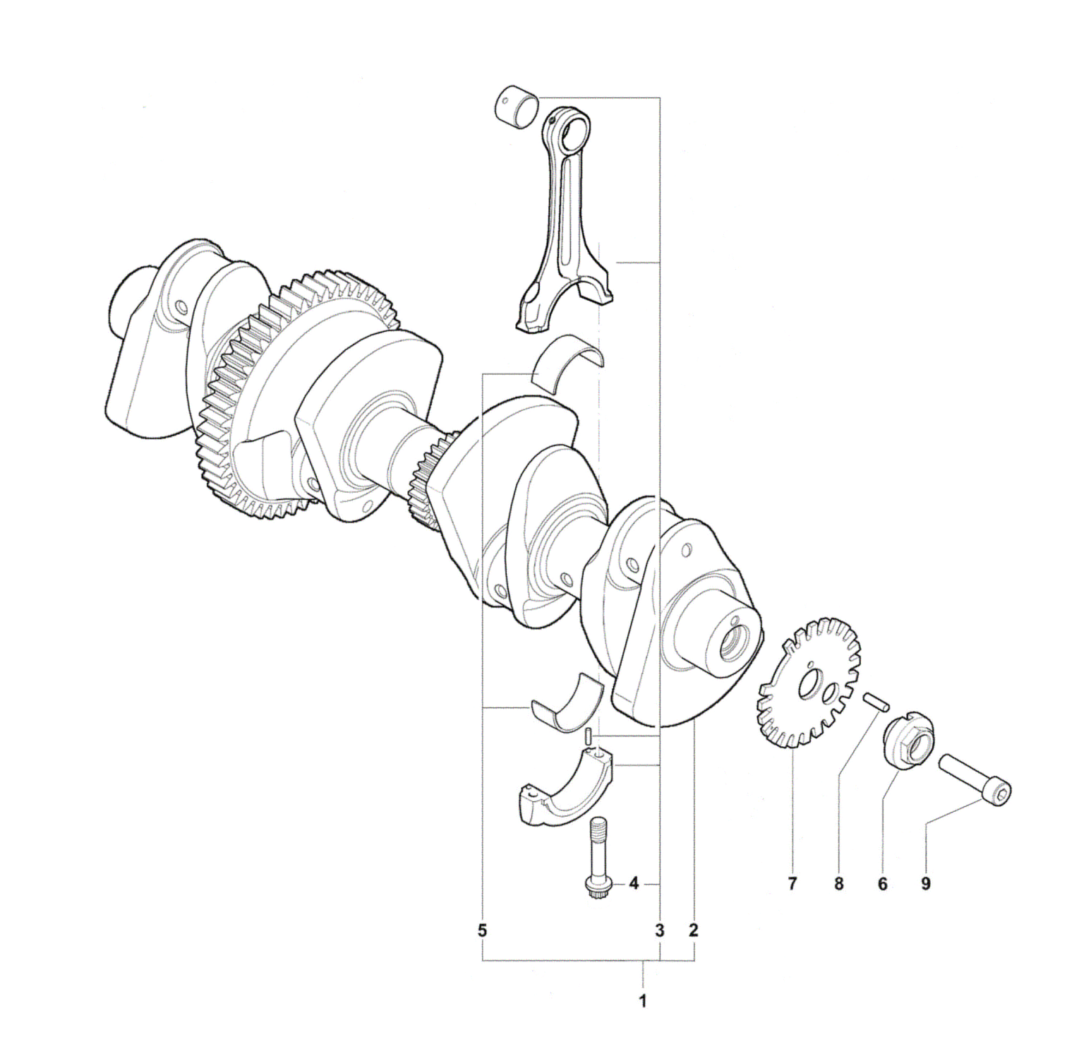 Crankshaft Assembly


