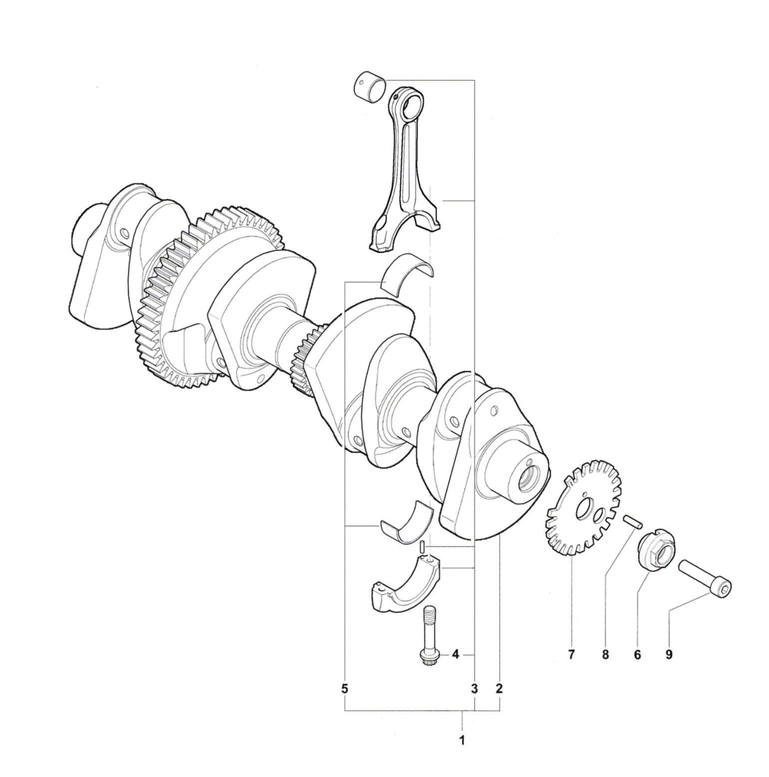 Crankshaft Assembly


