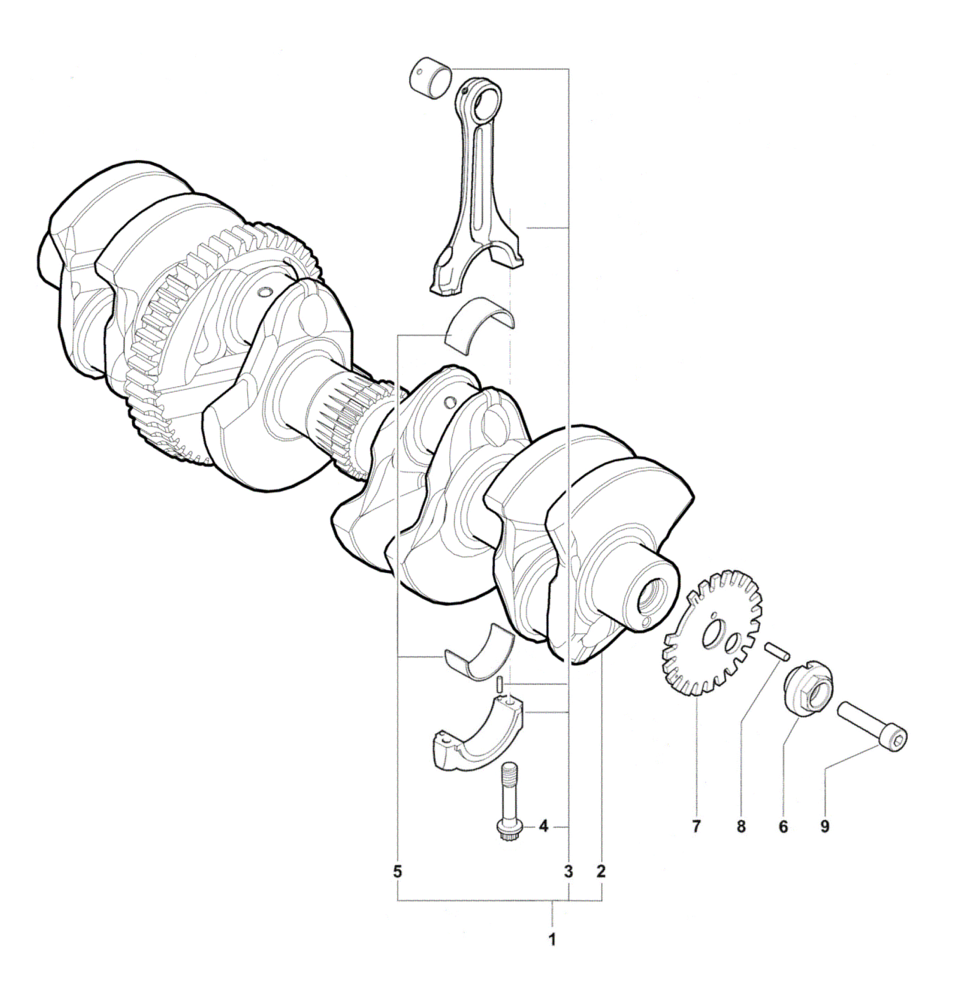 Crankshaft Assembly


