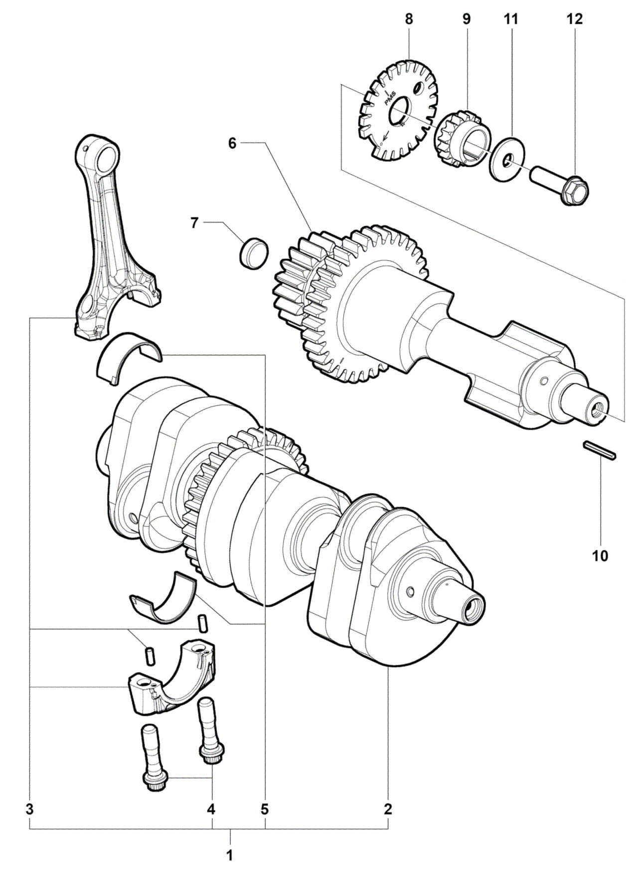 Crankshaft Assembly


