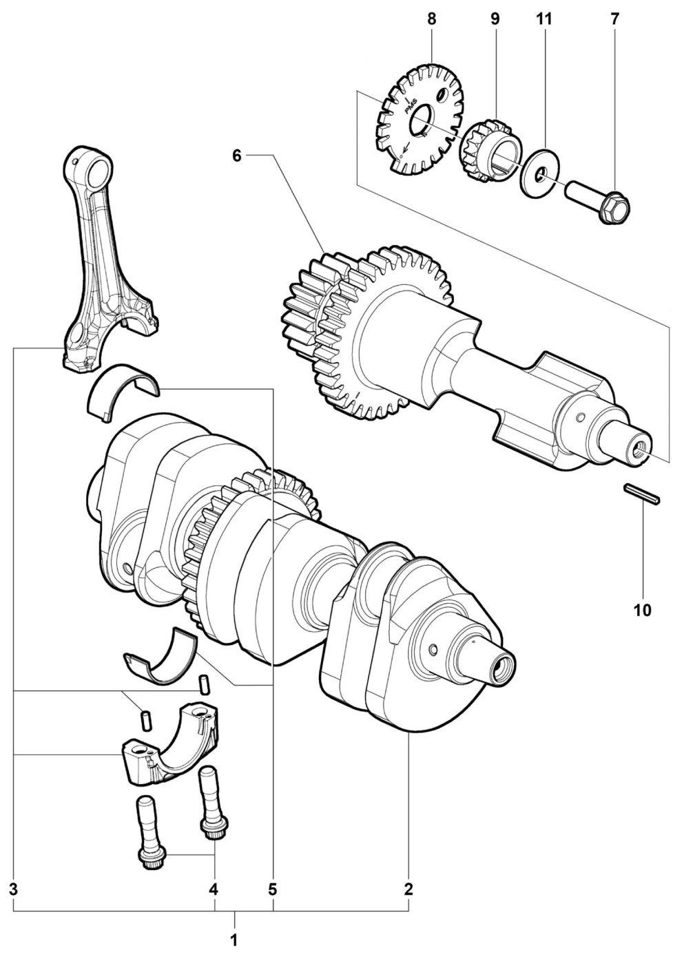 Crank Shaft Assembly


