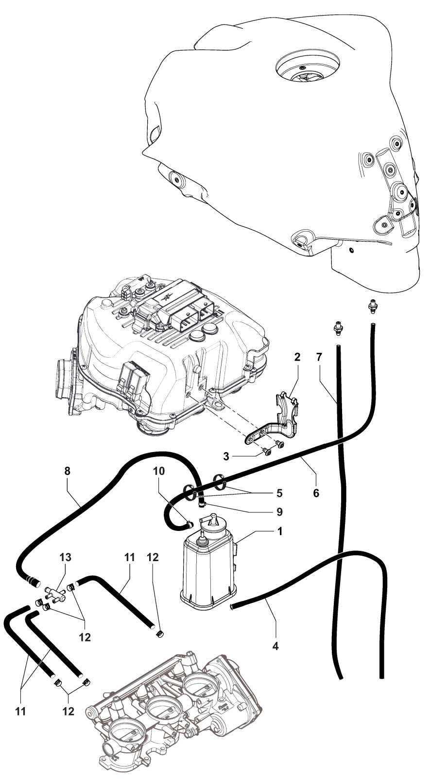 Carbon Canister Assembly


