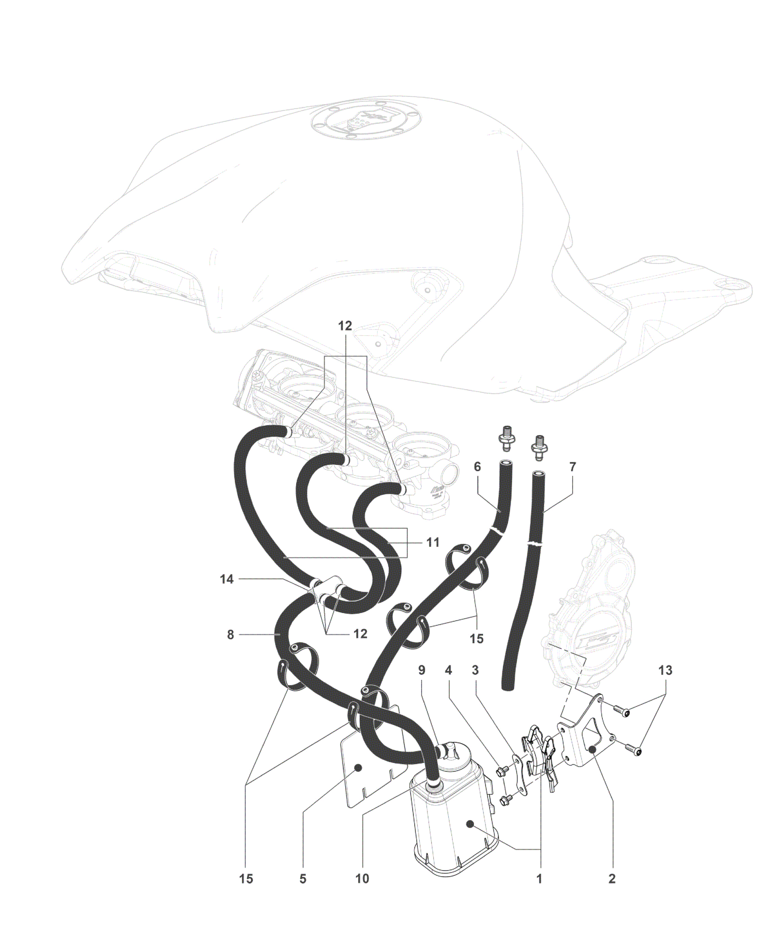 Carbon Canister Assembly


