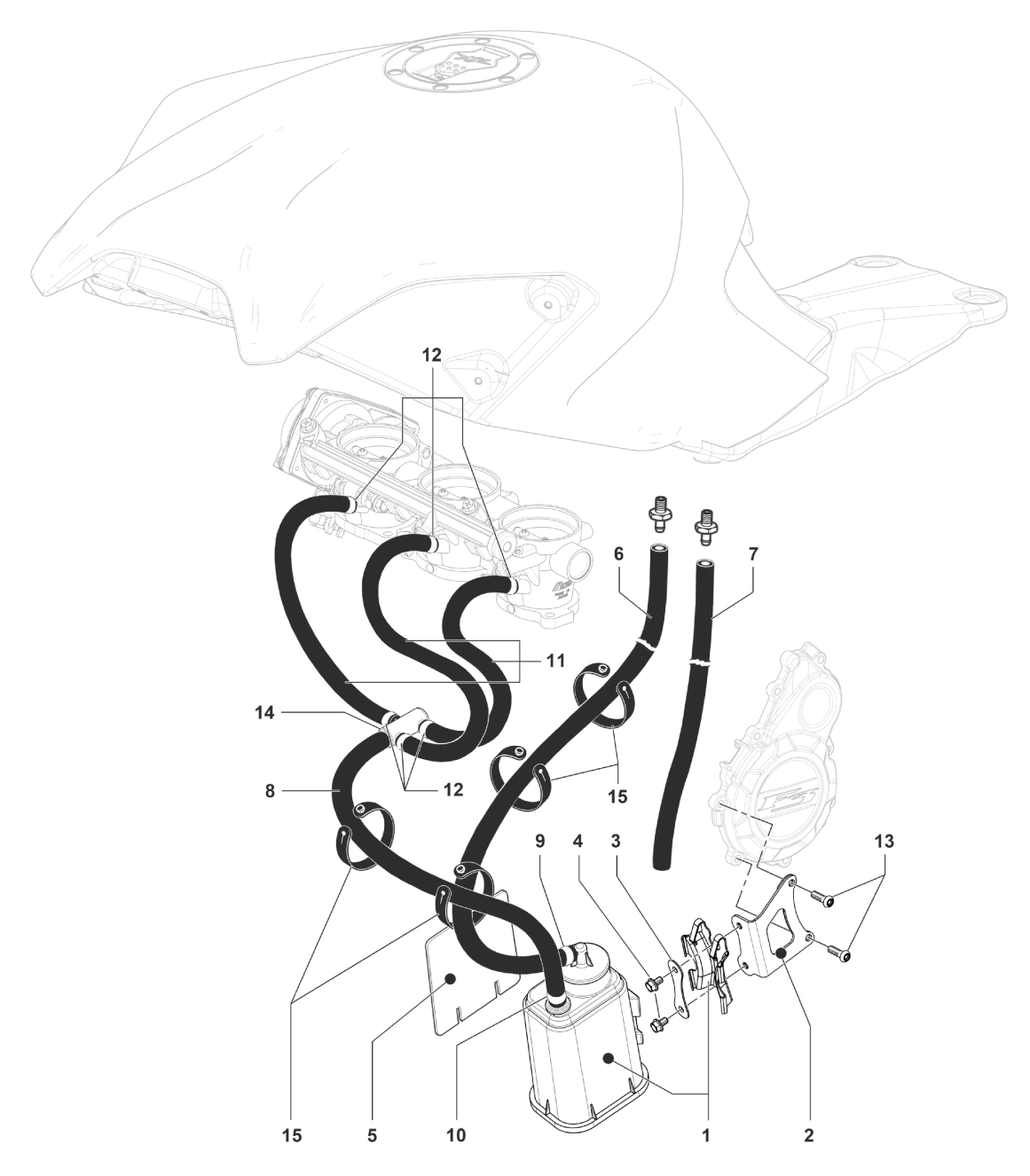 Carbon Canister Assembly B3dragst


