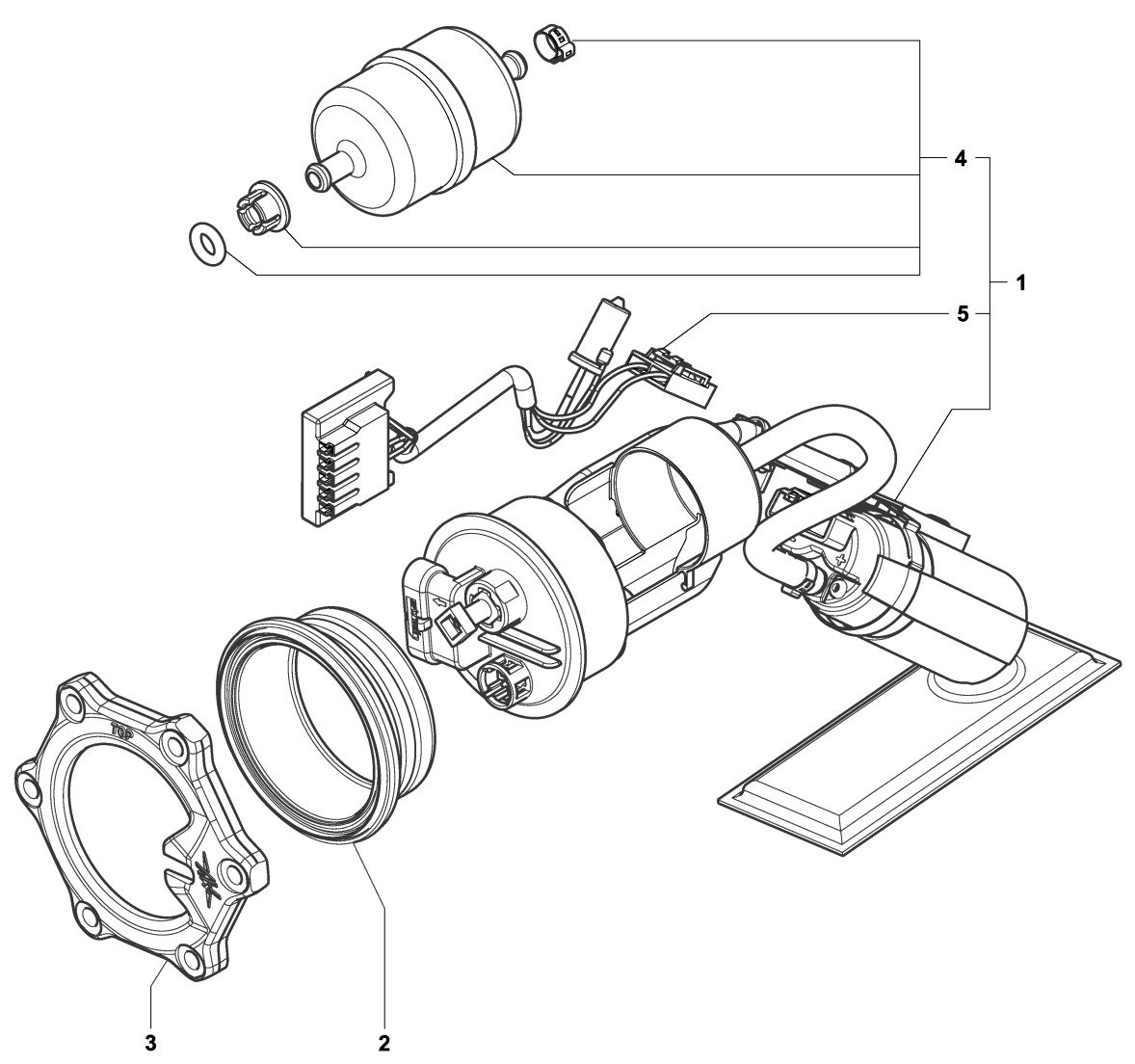 Fuel Pump Assembly


