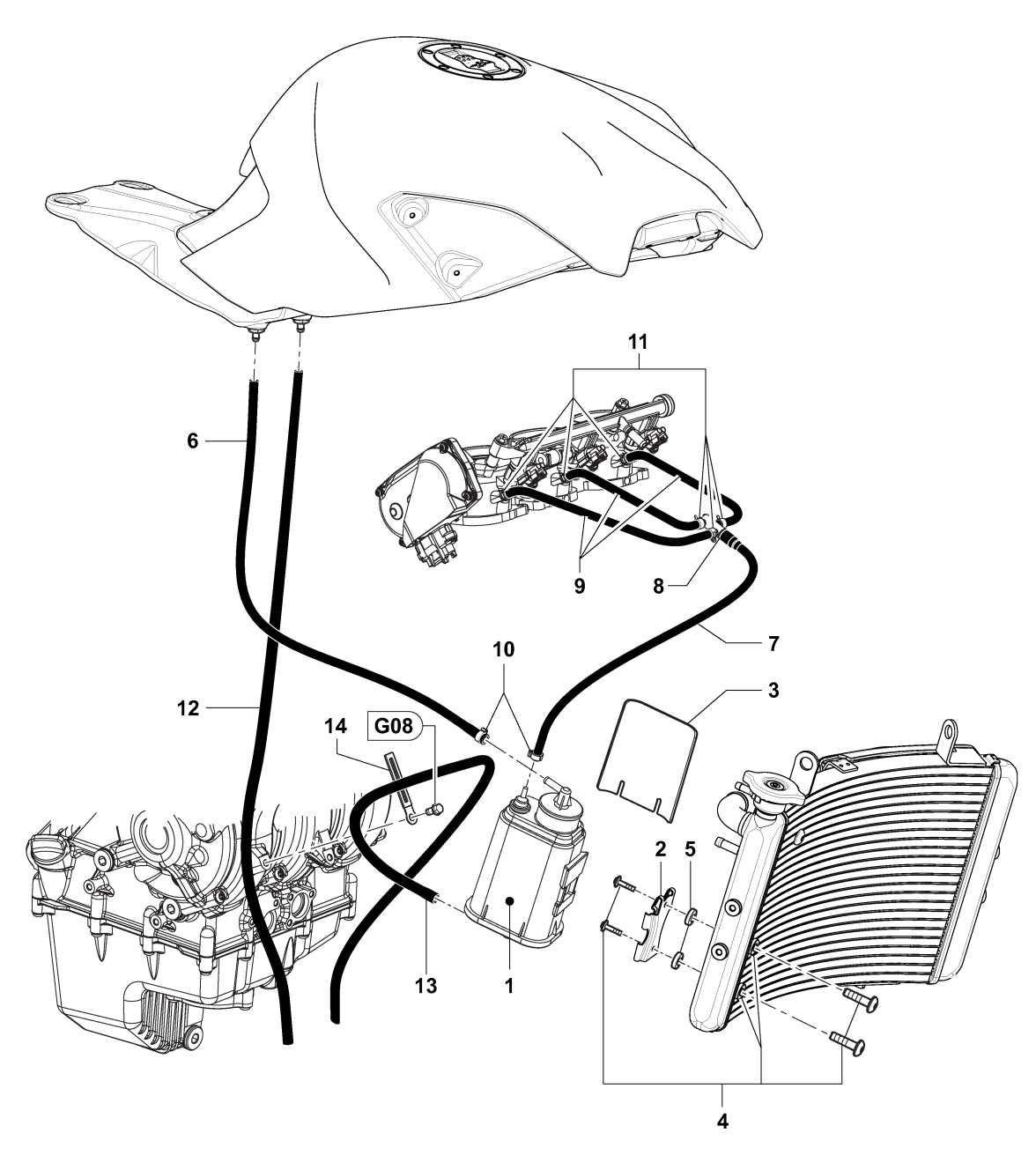 Carbon Canister Assembly Dragster


