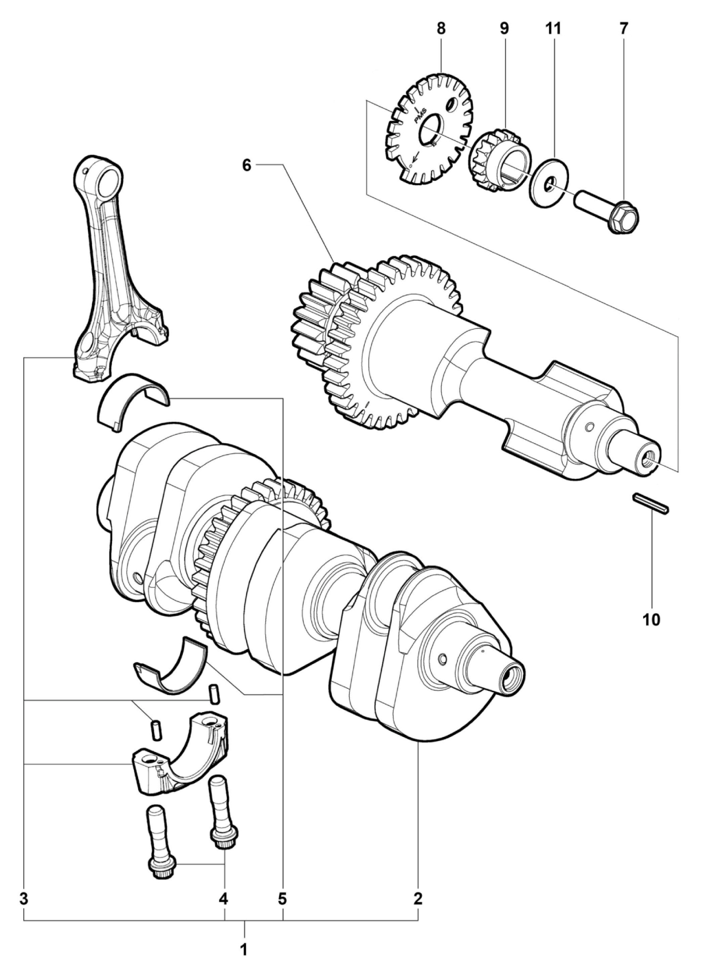 Crank Shaft Assembly


