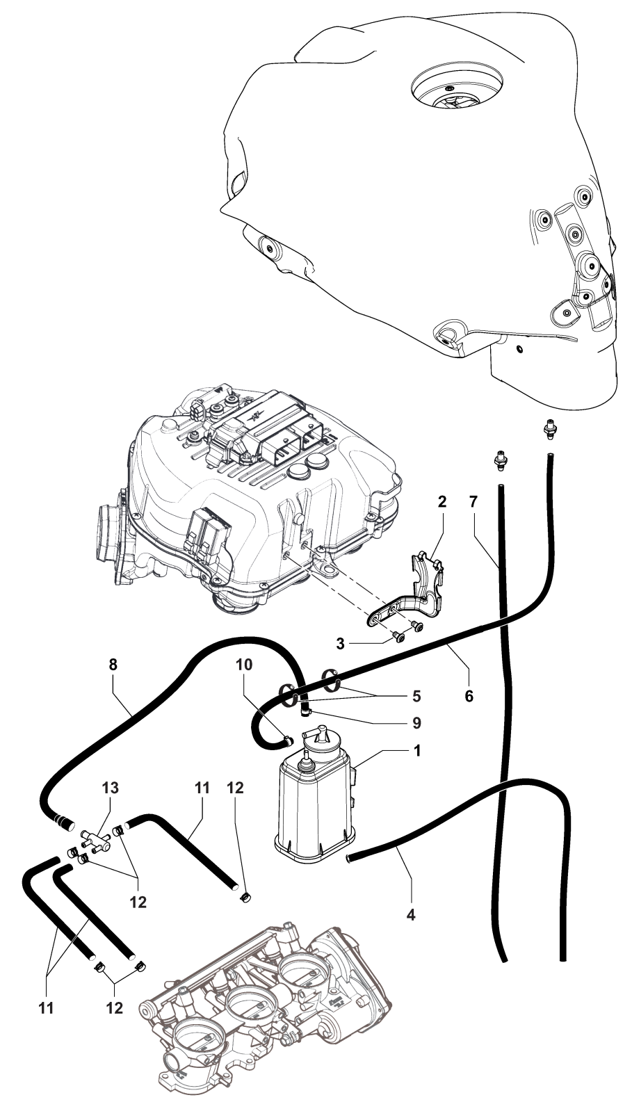 Carbon Canister Assembly


