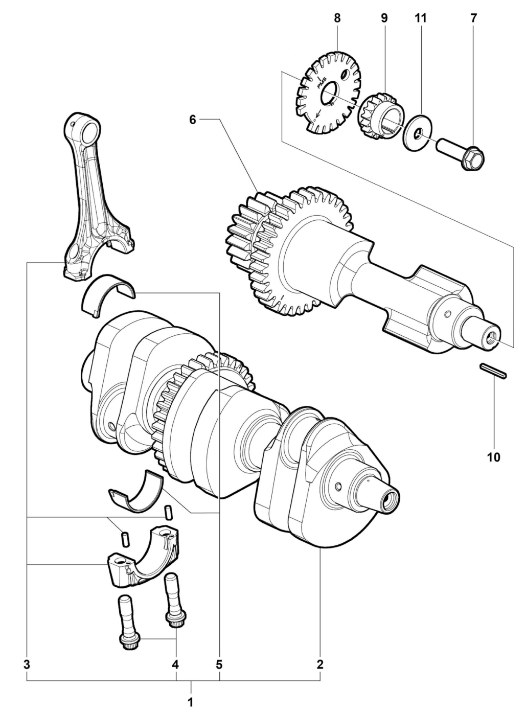 Crank Shaft Assembly


